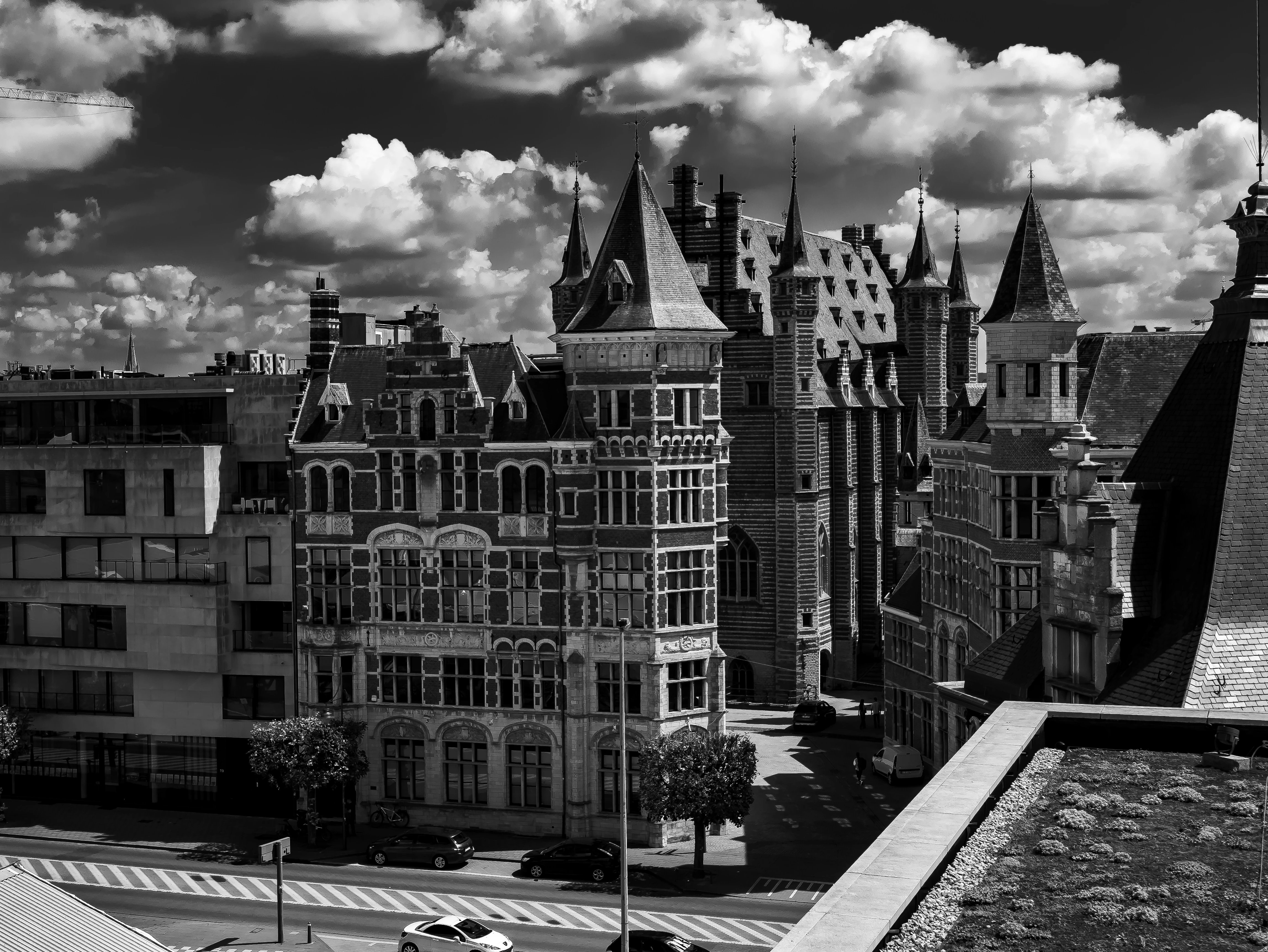Zabytkowe kamienice i dachy Antwerpii w kontrastowej czerni i bieli