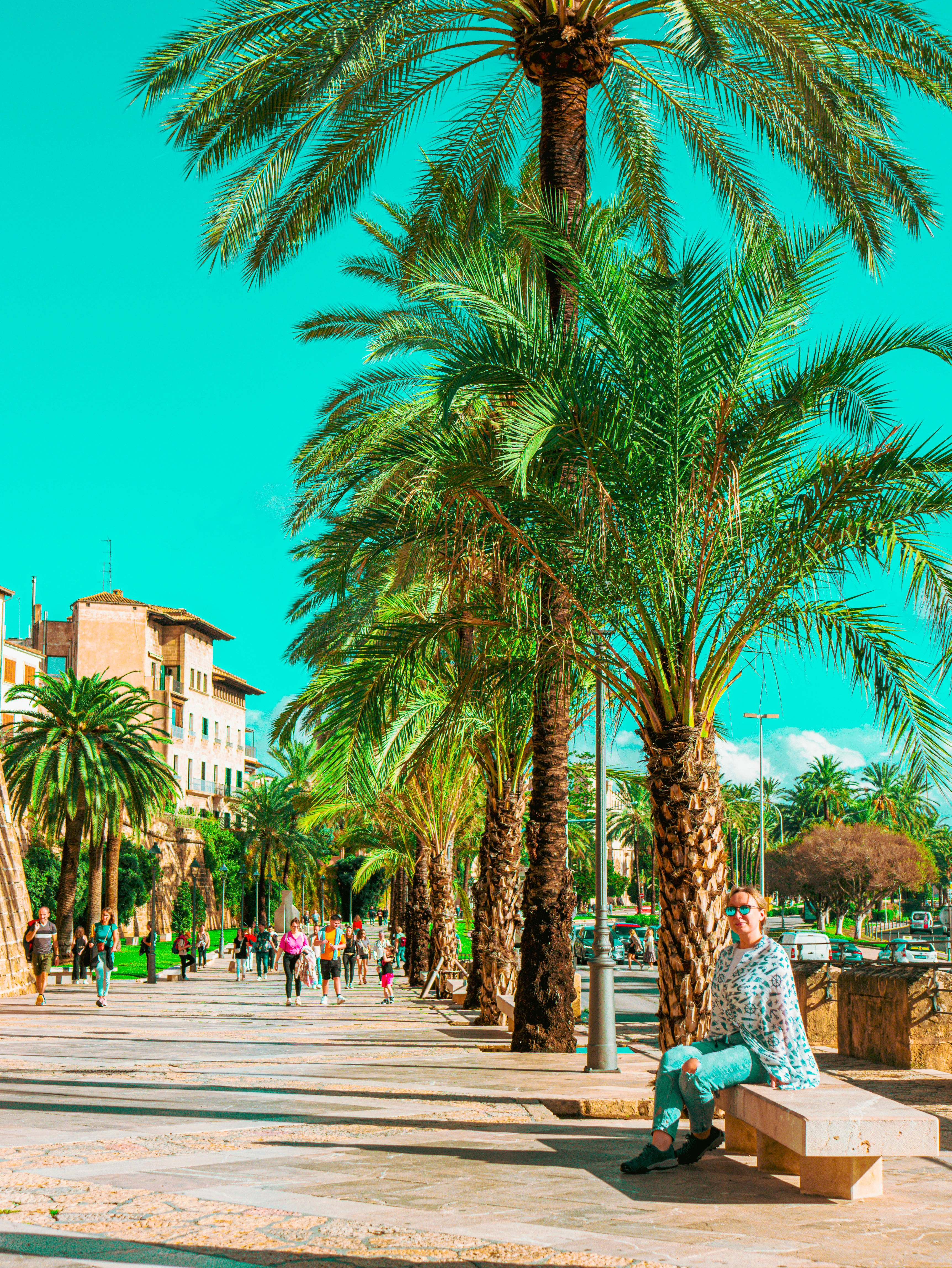 Słoneczna promenada pod palmami w Palma de Mallorca